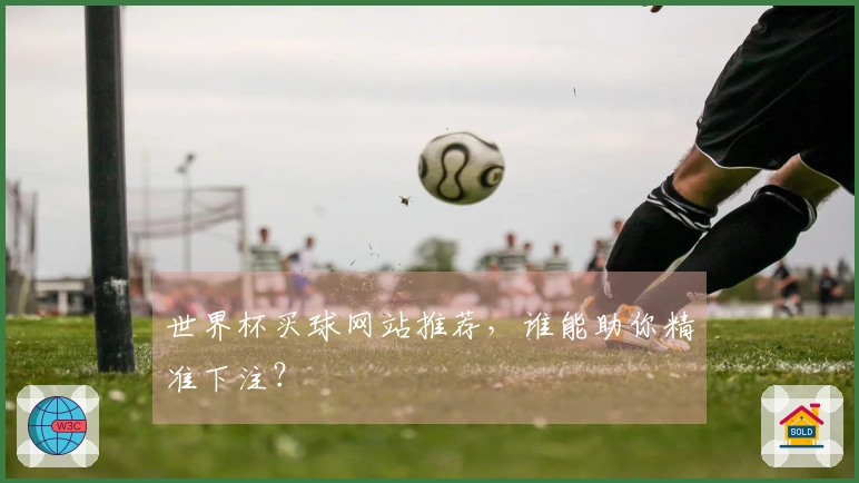 世界杯买球网站推荐，谁能助你精准下注？