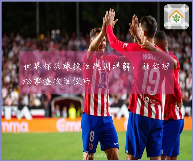 世界杯买球投注规则详解，让你轻松掌握投注技巧