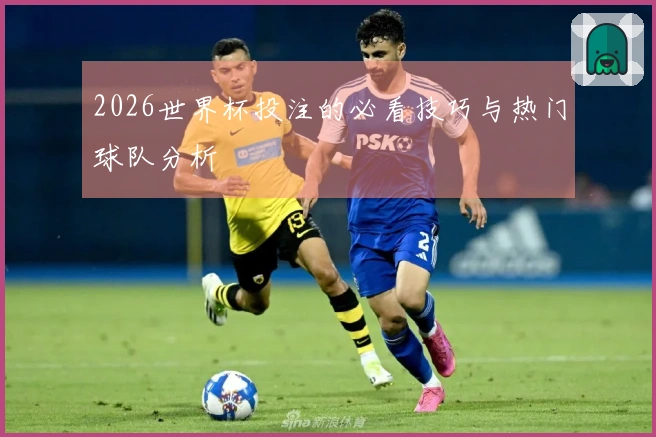 2026世界杯投注的必看技巧与热门球队分析