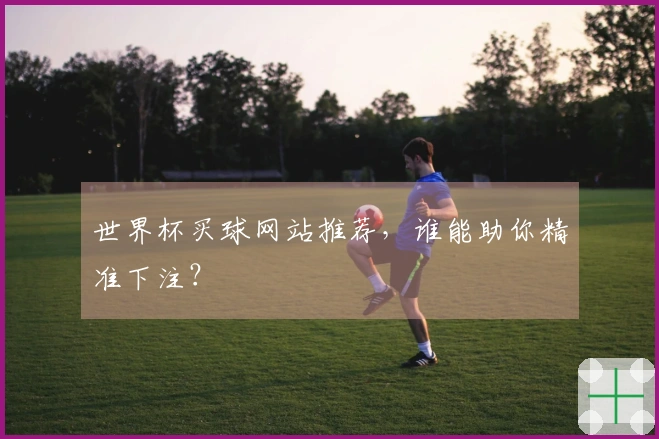 世界杯买球网站推荐，谁能助你精准下注？