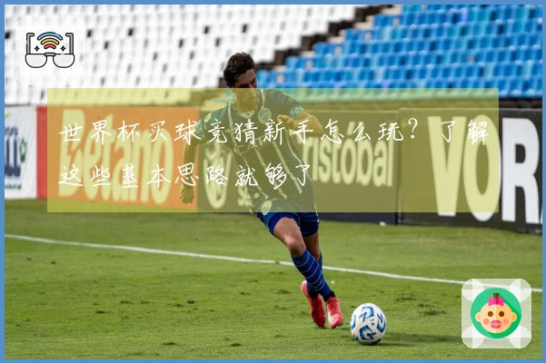世界杯买球竞猜新手怎么玩？了解这些基本思路就够了
