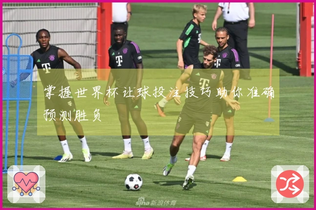掌握世界杯让球投注技巧助你准确预测胜负