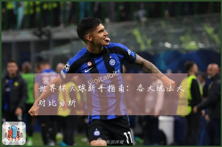 世界杯买球新手指南：各大玩法大对比分析